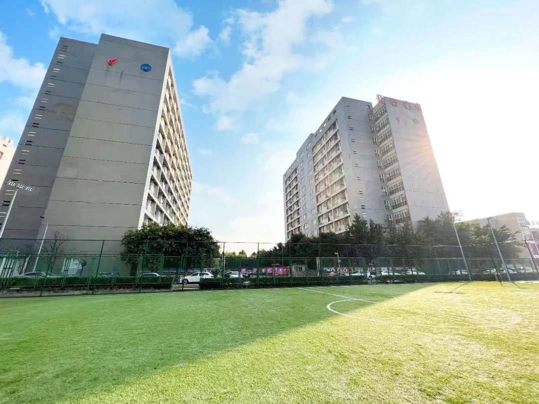 重慶龍行美術藝術畫室