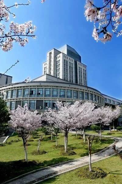 每年都在變錄取方式的美術院校，不了解變化小心滑檔！