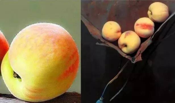 重慶美術(shù)培訓畫室|畫家作品總是讓人傻傻分不清，是油畫還是照片！