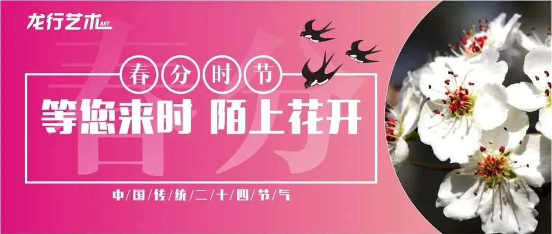 春分如約而至，愿大家都能考上心儀的美院!